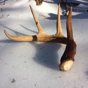 Meet your Posher, Stephen